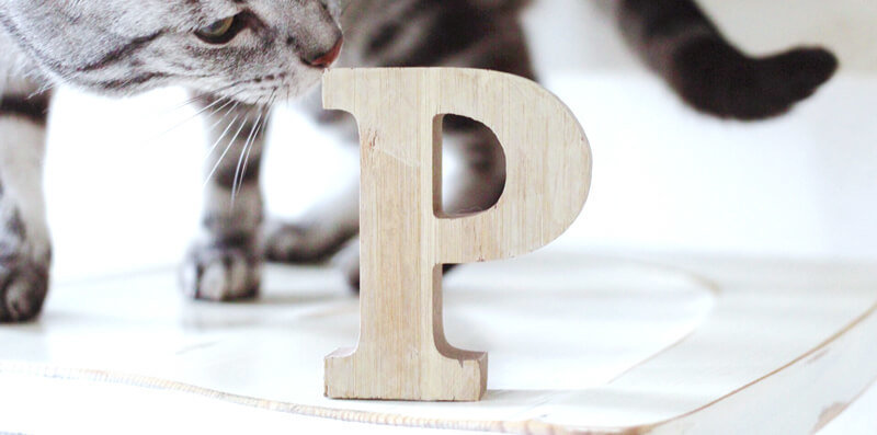 4つのP