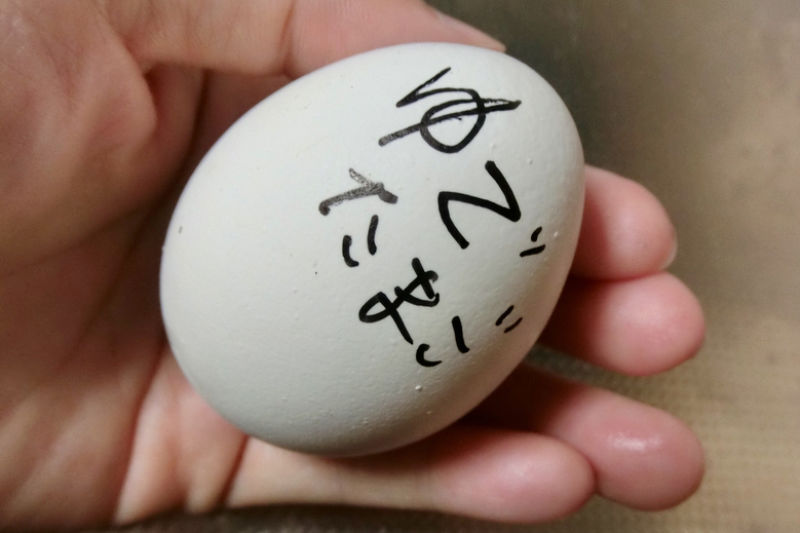 ゆで卵の消費期限、世の中の認識ではどれくらい？